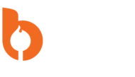 Bonfyre-Culture-Coach-Logo
