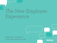 The New Work Experience Interview eBook